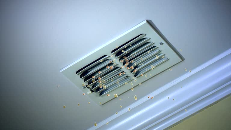 Best Commercial Air Duct Cleaning  in St Joseph, MI