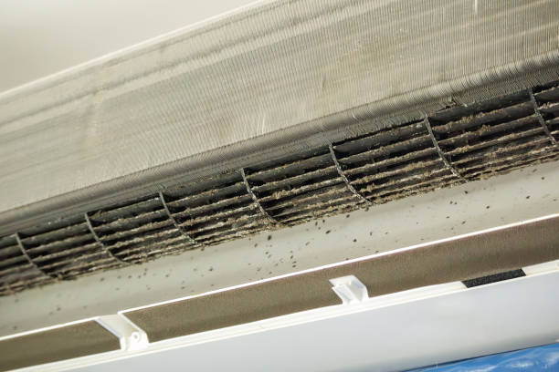 Best Air Duct Cleaning Near Me in St Joseph, MI